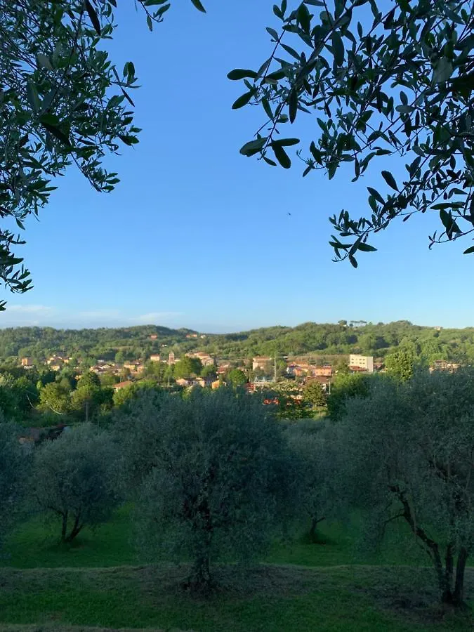 Marziani Rustic Tuscan House Capannori