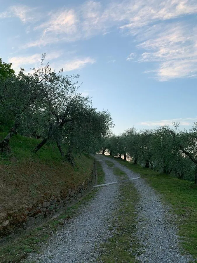 Holiday home Marziani Rustic Tuscan House Capannori